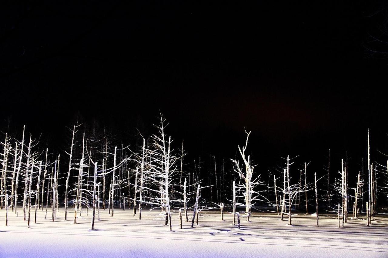 Stay In Tokiwa Asahikawa Eksteriør bilde